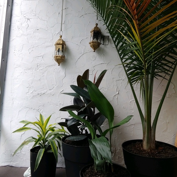 Meet your Posher, Rebecca - Picture 1 of 1